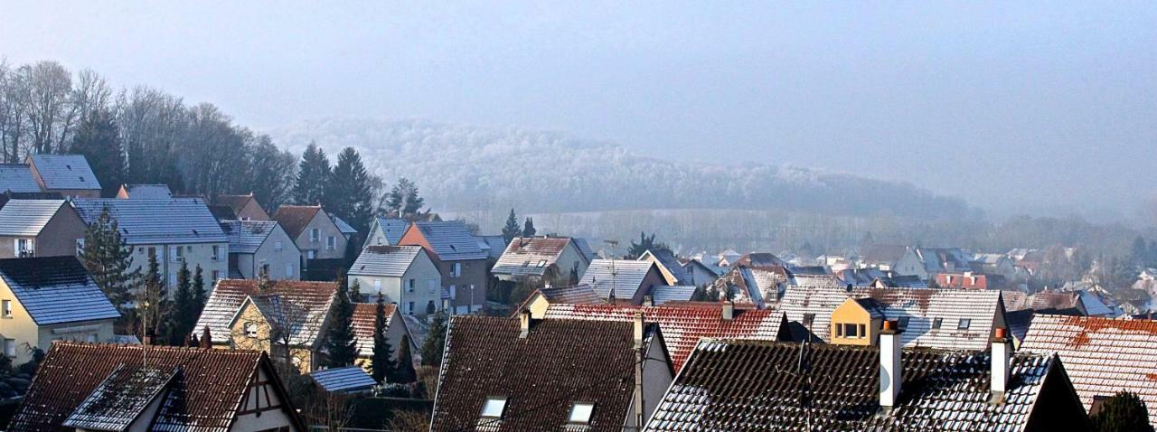 Gites D'Illfurth المظهر الخارجي الصورة
